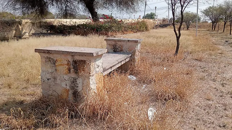 El puente Tresguerras enfrenta abandono;